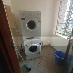 Valley Park (D10), Condominium #502154221